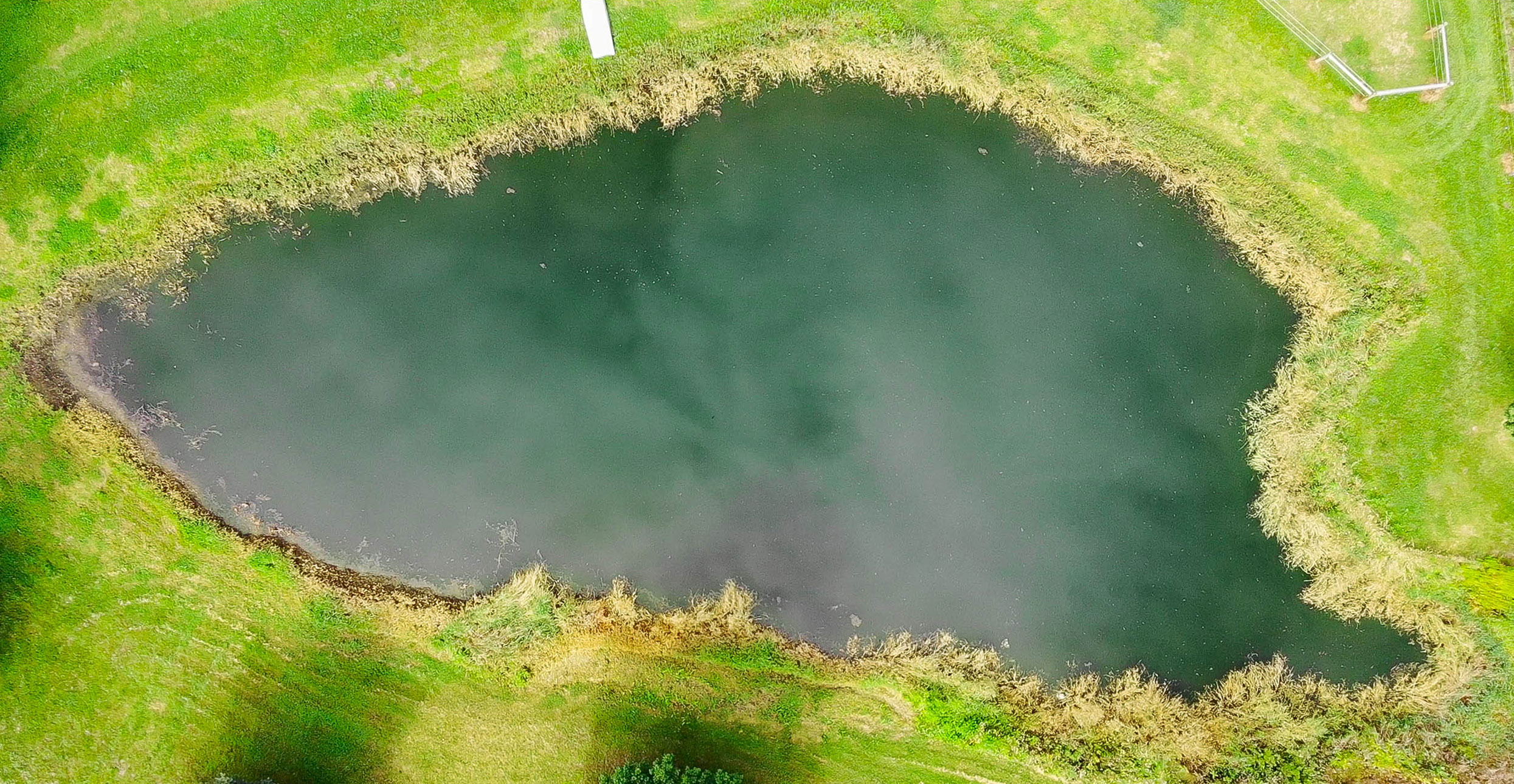 Pond after treatment
