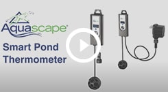 https://www.thepondguy.com/content/pdp/images/aquascape-smart-thermometer-video-image.jpg