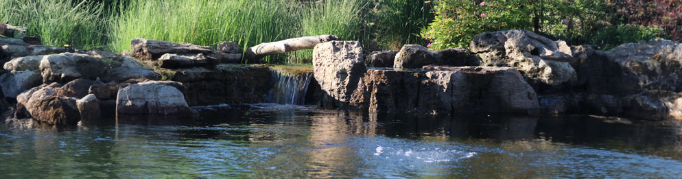Waterfall Pond With Driftwood