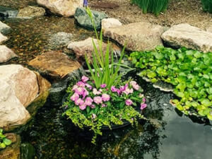 Details about   12" Floating Pond Island Planter-plant koi/water garden-aquatic-floater-flower 