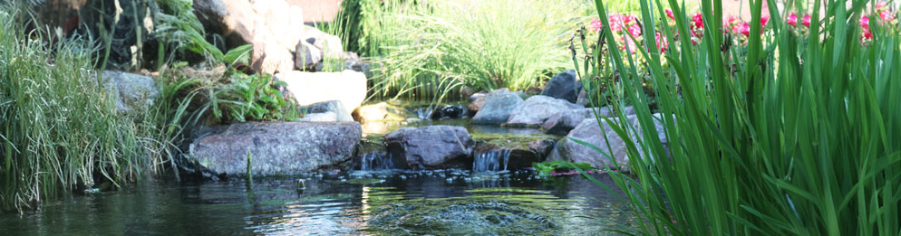 Granite Boulder Pond