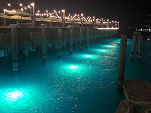 SF Anchored Dock Lights, Hydro Glow