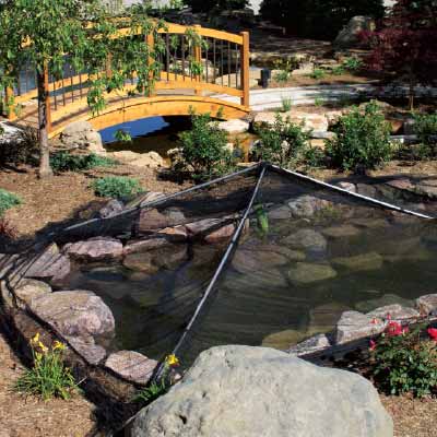 cane fishing poles near me B&M Black Widow Cane Pole
